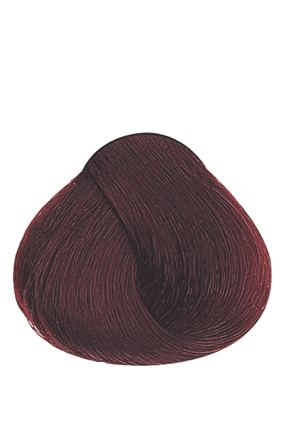 APM_Evolution_5.6_PF005974
