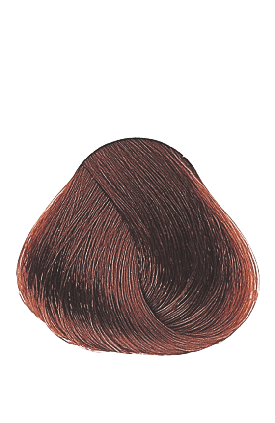 APM_Evolution_6.4_PF005984