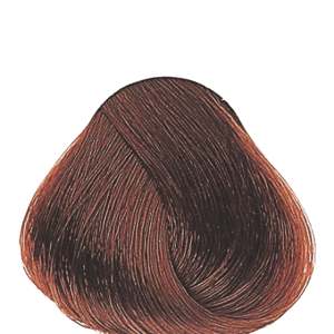 APM_Evolution_7.45_PF005964