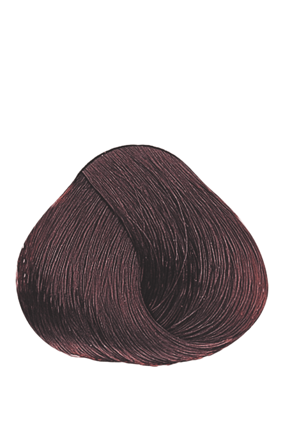 APM_Evolution_7.53_PF005951