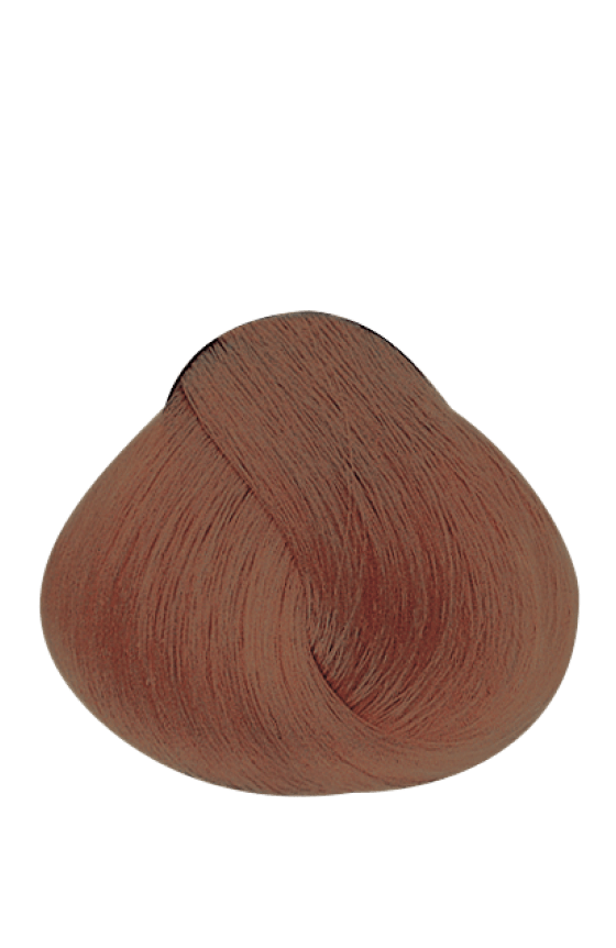 APM_Evolution_7MRB_PF018559