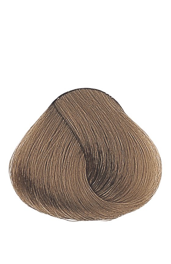 APM_Evolution_8.31_PF005997