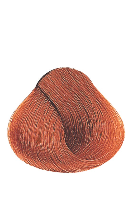 APM_Evolution_8.4_PF005982