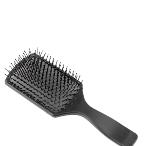 Paddle Brush