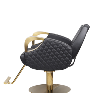 Hair Salon Barber Styling Chair